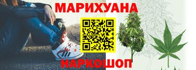 ALPHA PVP Гай