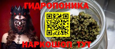 ALPHA PVP Гай