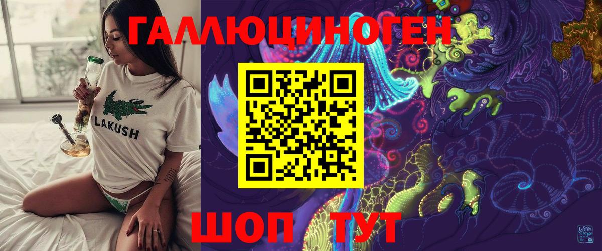 Псилоцибиновые грибы Psilocybe  Вход с VPN  Дзержинск  Галлюциногенные грибы GOLDEN TEACHER 